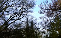 Kölner Dom