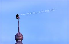 1. Januar 2025 1. Januar 2025