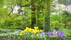 Frühling