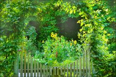 Sommergarten Sommergarten