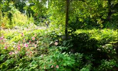 Hochsommer Hochsommer