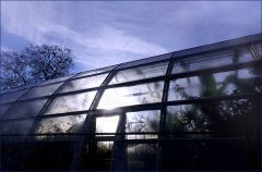 Gewächshaus im Dezember Gewächshaus im Dezember