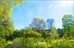 Sommer Sommer