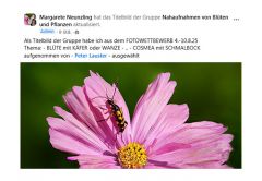 Mein Foto als Titelbild Mein Foto als Titelbild