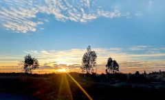 Fahrt in den Sonnenaufgang nach Sevilla Fahrt in den Sonnenaufgang nach Sevilla