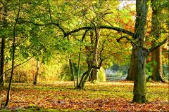 Herbstfarben Herbstfarben