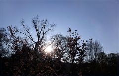 Sonnenaufgang Sonnenaufgang