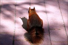 Licht und Schatten Licht und Schatten