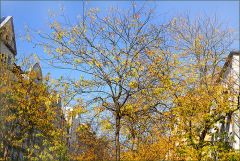 Herbst in der Stadt