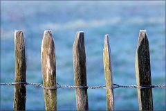 Holzzaun mit Raureif