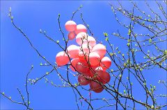 Frühlingsfreude Frühlingsfreude