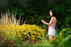 Sommerfoto mit dem Handy Sommerfoto mit dem Handy
