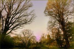 Dezemberabend Dezemberabend