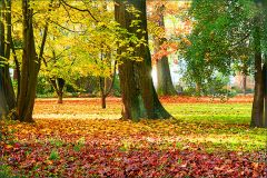 Herbstfarben Herbstfarben