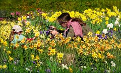 Frühlingsfreude Frühlingsfreude