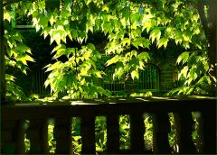 Geheimnisvoller Ort Geheimnisvoller Ort