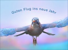 Neujahr 2026 Neujahr 2026