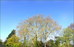 Die Farben des Frühlings Die Farben des Frühlings
