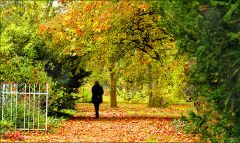 Herbstspaziergang Herbstspaziergang