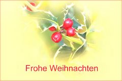 Rote Weihnachtsbeeren im Dezember Rote Weihnachtsbeeren im Dezember