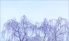 Winterkälte Winterkälte