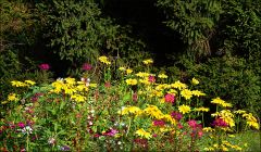 Bauerngarten