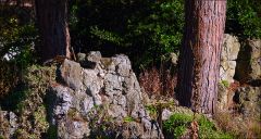 Geheimnisvoller Ort Geheimnisvoller Ort