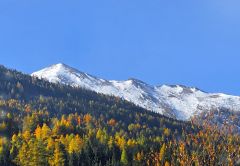 Grüße aus Österreich