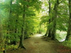 Uferweg im Oktober Uferweg im Oktober