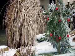 Jahresende 30.12. 2024 Jahresende 30.12. 2024