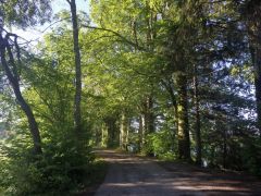 Weg im Mai Weg im Mai