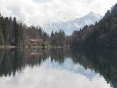 Spiegelbild Spiegelbild