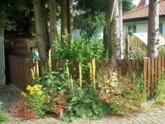 Sommeranfang Sommeranfang