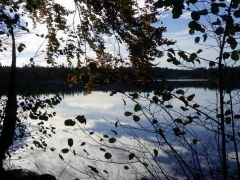 Spiegelung Spiegelung