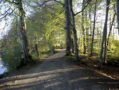 Uferstrasse am Morgen Uferstrasse am Morgen