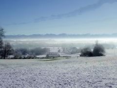 Dezember 2024 Dezember 2024