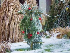 Ende Dezember 2024 Ende Dezember 2024