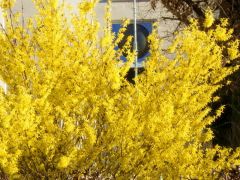 Abendsonne Abendsonne