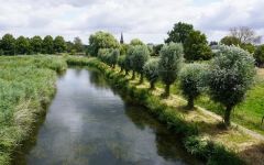 Die Niers in Goch