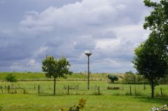 Storchennest