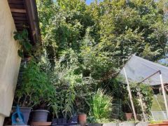 Blick in den garten Blick in den garten