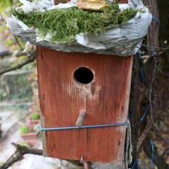 Nistkasten Nistkasten