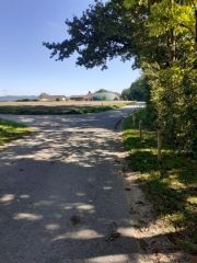 Auf dem Weg Auf dem Weg