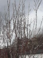 Liebesgrüße :) an den winter