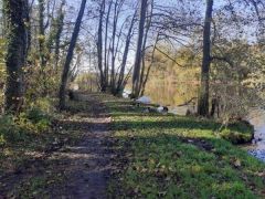 Heile welt? Heile welt?