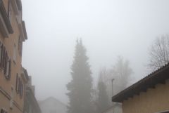 Nebel