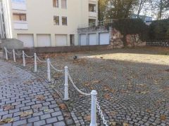 Wilde truppe Wilde truppe