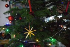 Ein blick voller glück