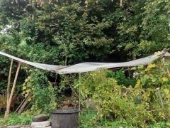 Herbstgarten Herbstgarten