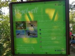 Vogelwelt Vogelwelt